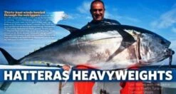 MC Works Southern Deep Ultimate Monster SD538XX -Salty Water Tackle p 2 7 9 9 2799 MC Works Southern Deep Ultimate Monster SD538XX