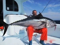 MC Works Southern Deep Ultimate Monster SD538XX -Salty Water Tackle p 2 8 0 1 2801 MC Works Southern Deep Ultimate Monster SD538XX