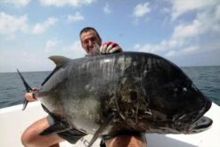 Saltywater Tackle Race Point 300 Blank -Salty Water Tackle p 3 5 8 9 3589 Saltywater Tackle Race Point 300 Blank