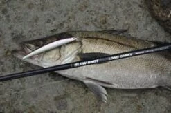 Smith Blow Shot Long Cast