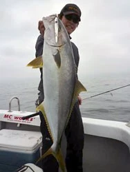 MC Works Real Fusion RF612LR