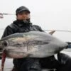 MC Works Seven Miles 846CR Tuna Special