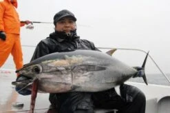 MC Works Seven Miles 846CR Tuna Special