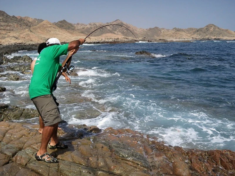 Saltywater Tackle El Maestro Series Blank 7 Saltywater Tackle El Maestro Series Blank - Image 7