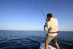 Saltywater Tackle El Maestro Series Blank 28 Saltywater Tackle El Maestro Series Blank -Salty Water Tackle p 4 7 5 8 4758 Saltywater Tackle El Maestro Series Blank