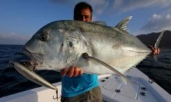 Saltywater Tackle El Maestro Series Blank 27 Saltywater Tackle El Maestro Series Blank -Salty Water Tackle p 4 7 5 9 4759 Saltywater Tackle El Maestro Series Blank