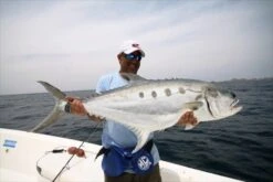 Saltywater Tackle El Maestro Series Blank 25 Saltywater Tackle El Maestro Series Blank -Salty Water Tackle p 4 7 6 1 4761 Saltywater Tackle El Maestro Series Blank