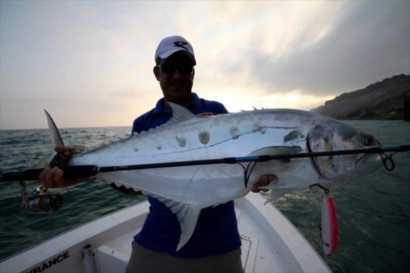 Saltywater Tackle El Maestro Series Blank 15 Saltywater Tackle El Maestro Series Blank - Image 15