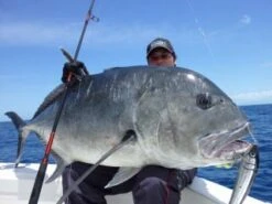 Carpenter Endless Passion EP 82/38