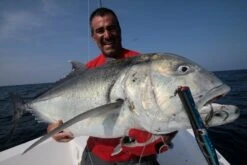 Shell Shaping Lures Trumpet 300