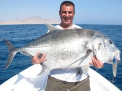 Shell Shaping Lures Twister F5 -Salty Water Tackle p 5 2 9 5 5295 Shell Shaping Lures Twister F5