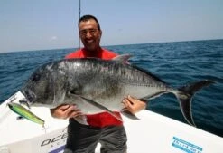 Shell Shaping Lures Twister F3