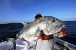 Shell Shaping Lures Chu Bar Mega Mouth -Salty Water Tackle p 5 3 0 8 5308 Shell Shaping lure Chu Bar Mega Mouth