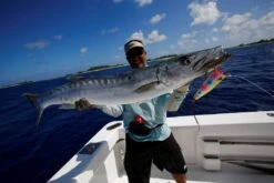 Shell Shaping Lures Chu Bar Mega Mouth -Salty Water Tackle p 5 3 1 5 5315 Shell Shaping lure Chu Bar Mega Mouth