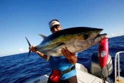 Shell Shaping Lures Chu Bar Mega Mouth -Salty Water Tackle p 5 3 1 6 5316 Shell Shaping lure Chu Bar Mega Mouth