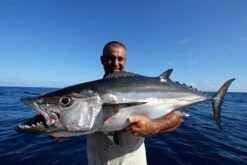 Shout Jig Stay 22 Shout Jig Stay -Salty Water Tackle p 5 3 2 1 5321 Shout Jig Stay