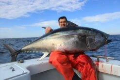 Shout Jig Shab Shab -Salty Water Tackle p 5 3 2 3 5323 Shout Jig Shab Shab