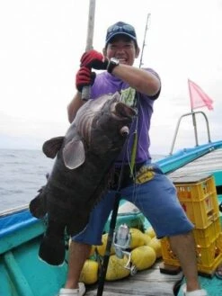 Ripple Fisher Ocean Arrow 5 Series Jigging Rods