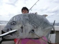 Carpenter The Blue Lagoon TBL 80/40