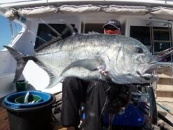 Carpenter The Blue Lagoon TBL 80/40 -Salty Water Tackle p 5 4 9 2 5492 Carpenter The Blue Lagoon TBL 8040