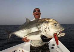 Shell Shaping Lures Chu Bar Mega Mouth