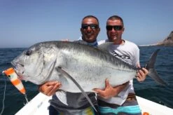 Hammerhead G Cup SUS