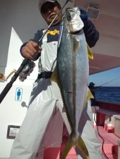 MC Works Northern Blue NB603SS SOTOBO SPECIAL