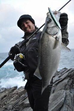 Ripple Fisher Avarice