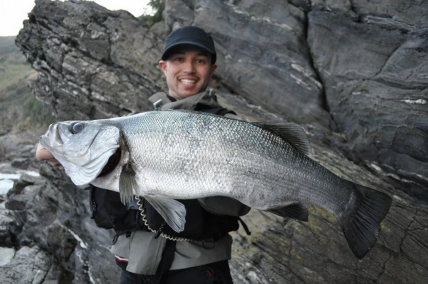 Ripple Fisher Avarice 2 Ripple Fisher Avarice - Image 2