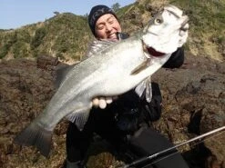 Ripple Fisher Avarice 6 Ripple Fisher Avarice -Salty Water Tackle p 5 7 6 6 5766 Ripple Fisher Avarice