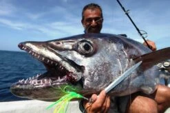 Lamble Bait Swimming Haoli -Salty Water Tackle p 5 8 7 0 5870 Lamble Bait Swimming Haoli