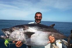 Lamble Bait Swimming Haoli