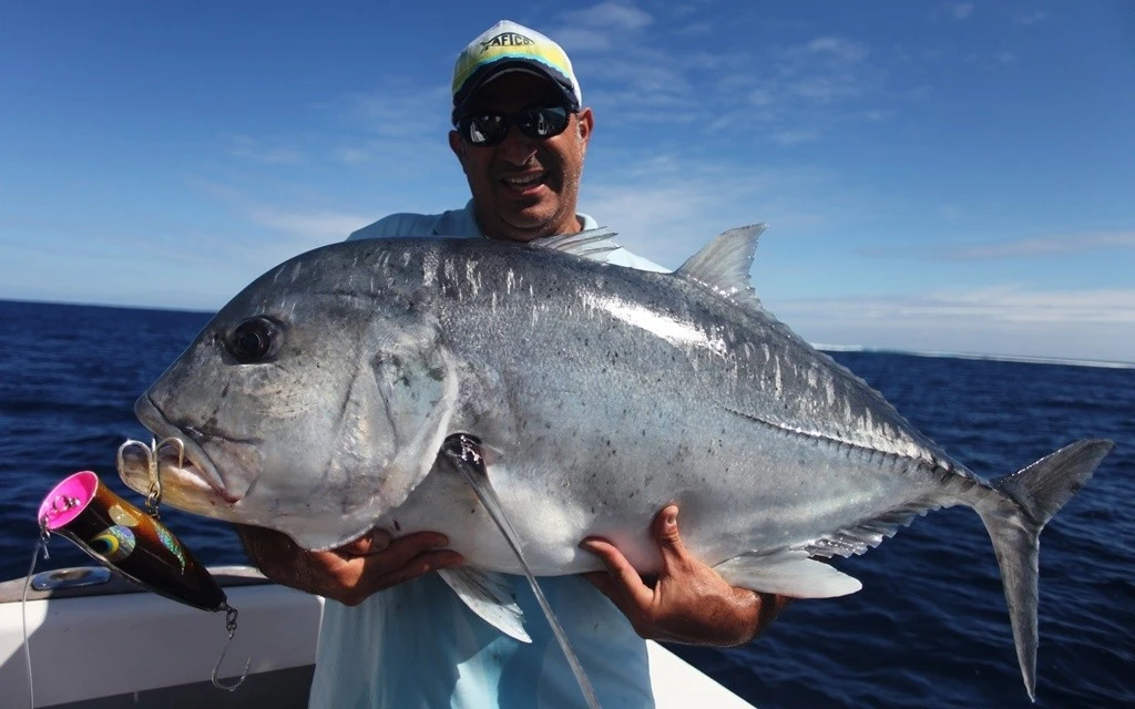 Hammerhead G Cup SUS 2 Hammerhead G Cup SUS - Image 2