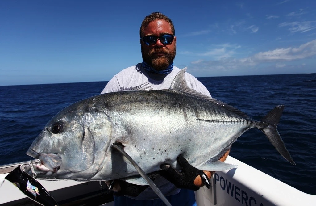 Hammerhead D Cup SUS 1 Hammerhead D Cup SUS