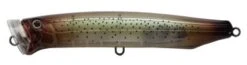 Tackle House Feed Popper 135 34 Tackle House Feed Popper 135 -Salty Water Tackle p 6 4 0 8 6408 Tackle House Feed Popper 135