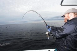 Saltywater Tackle Race Point 100 -Salty Water Tackle p 6 5 0 4 6504 Saltywater Tackle Race Point 100