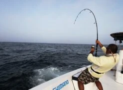 Saltywater Tackle Race Point 100