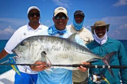 Saltywater Tackle Race Point 100 -Salty Water Tackle p 6 6 8 3 6683 Saltywater Tackle Race Point 100