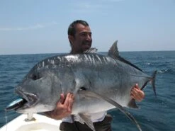 Shell Shaping Lures Twister F5