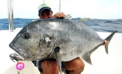 Shell Shaping Lures Chu Bar Monster Mouth