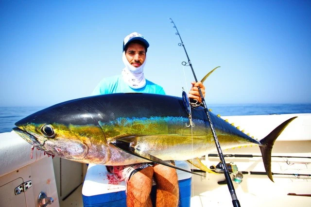 Tackle House Contact Britt CBP 145SW Sinking 2 Tackle House Contact Britt CBP 145SW Sinking - Image 2