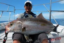 MC Works Real Fusion RF611LR Bait