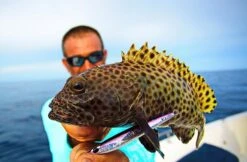 CB One F1 Casting Jig