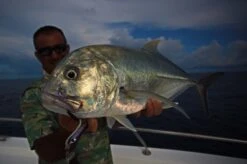 CB One F1 Casting Jig 12 CB One F1 Casting Jig -Salty Water Tackle p 6 9 9 7 6997 CB One F1 Jig