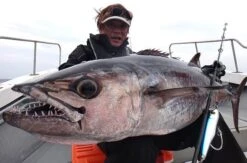 Hammerhead Border Deep Chaser DC-195S