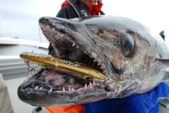 Hammerhead Border Deep Chaser DC-195S -Salty Water Tackle p 7 0 1 0 7010 Border Deep Chaser DC195S