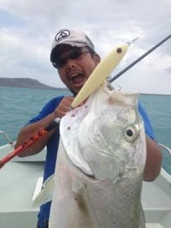 Smith Vaprax Sinking