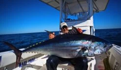 CB One VFR Stand-Up Tuna