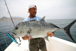 Shell Shaping Lures Trumpet 250