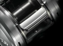 Daiwa Catalina Bay Jigging 10 Daiwa Catalina Bay Jigging -Salty Water Tackle p 8 0 0 0 8000 legend 1